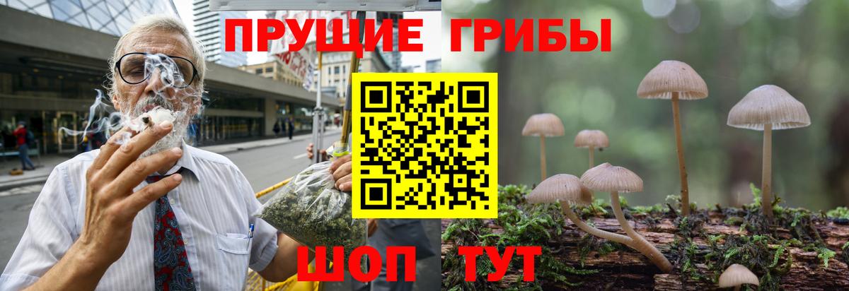 Балахна  Галлюциногенные грибы MAGIC MUSHROOMS  Галлюциногенные грибы Psilocybine cubensis  Вход с VPN 