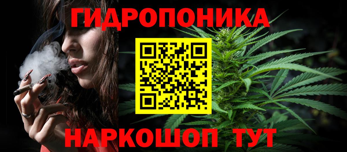 Бошки Шишки конопля Балахна
